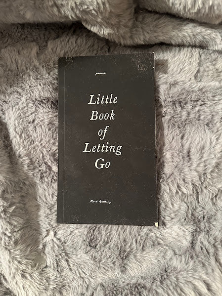 The Little Book of Letting Go